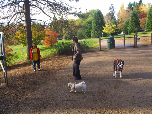 Mt. Tabor Park Off-Leash Dog Area